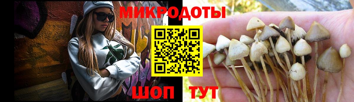 Псилоцибиновые грибы Magic Shrooms Химки